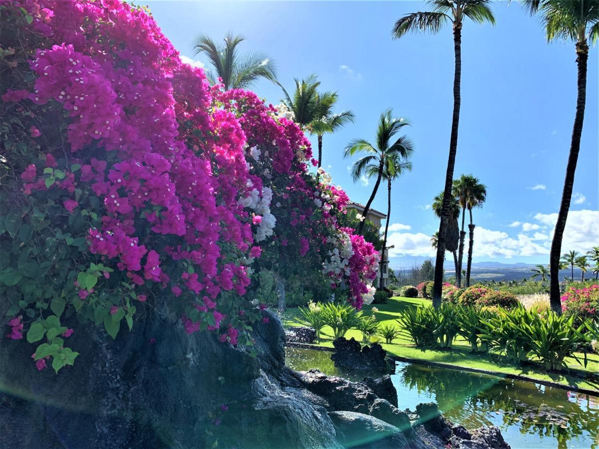Coconut At Shores - Waikoloa Beach Resort מראה חיצוני תמונה